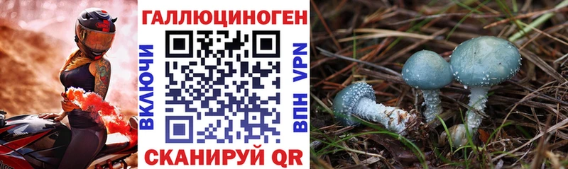 закладка  Рыбное  Галлюциногенные грибы GOLDEN TEACHER 